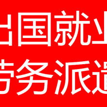 信息咨詢服務 連接知識與需求的橋梁